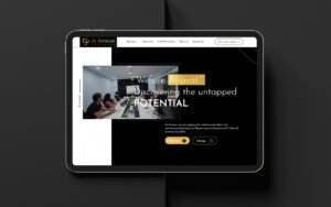 Website Designing Evolve