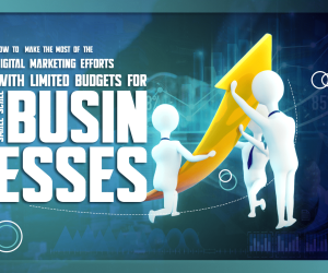 How to  Make the Most of the Digital Marketing Efforts with Limited Budgets for Small Scale Businesses